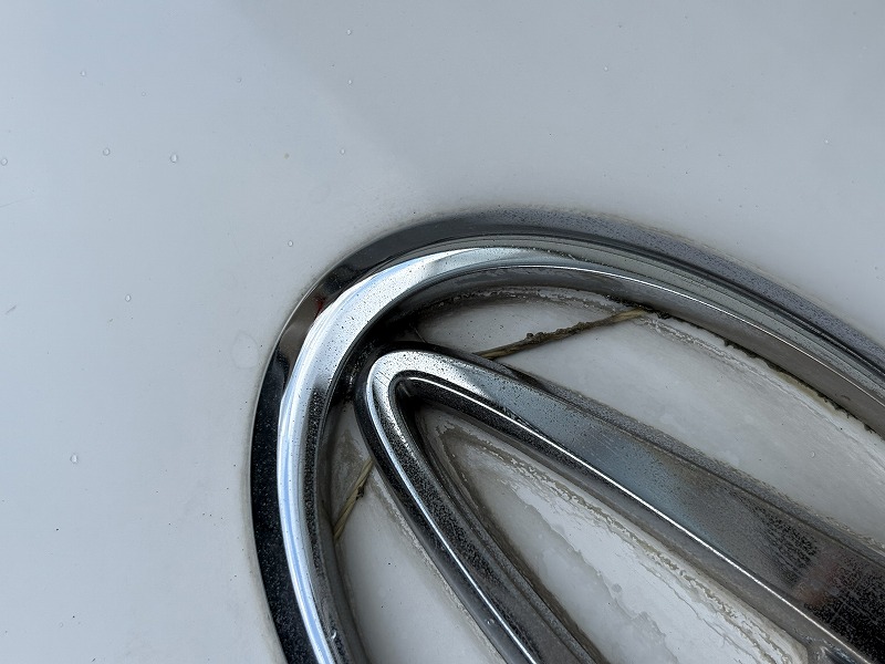 エンブレムに糸を入れた